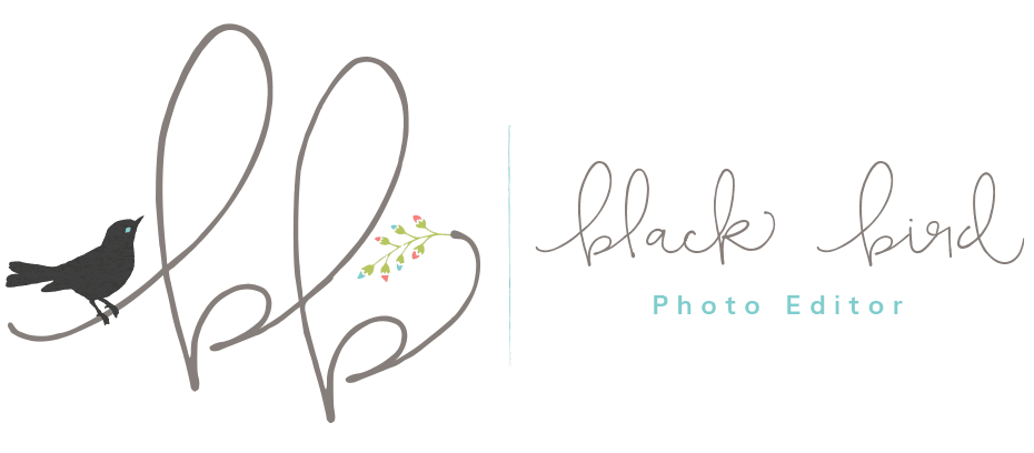 Logo Black Bird Editor