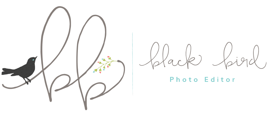 Logo Black Bird Editor